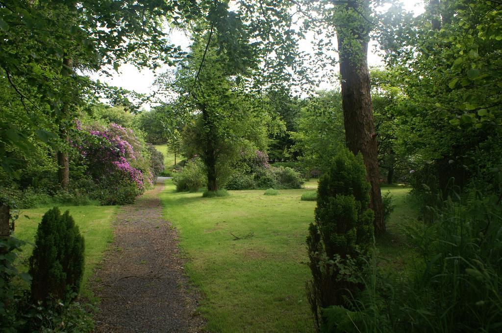 Bed and Breakfast Moorlands Parracombe Exterior foto