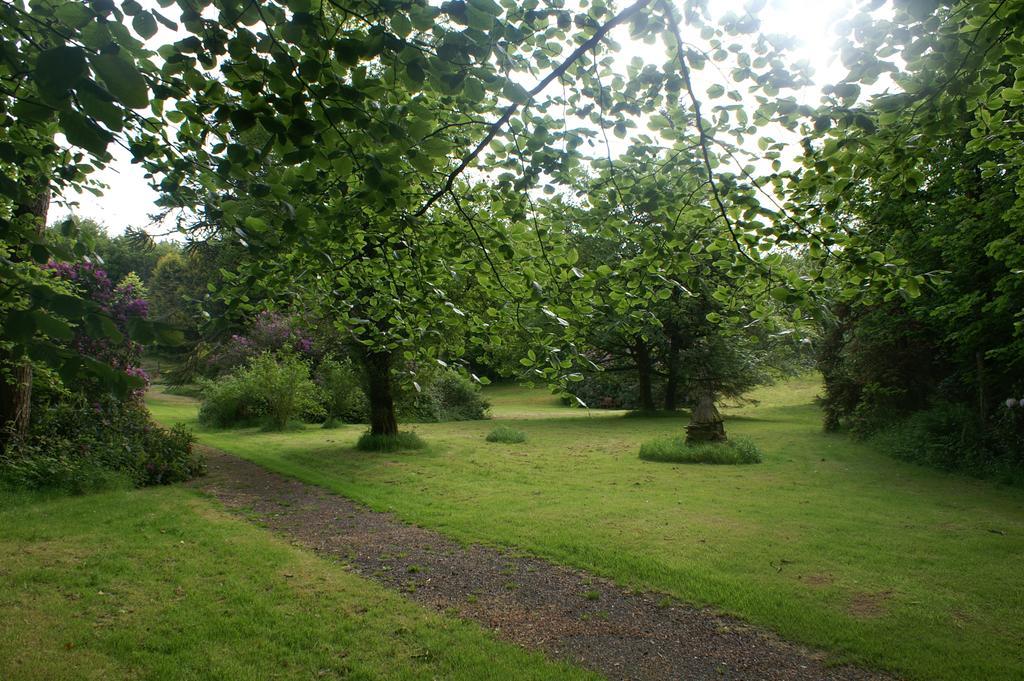 Bed and Breakfast Moorlands Parracombe Exterior foto