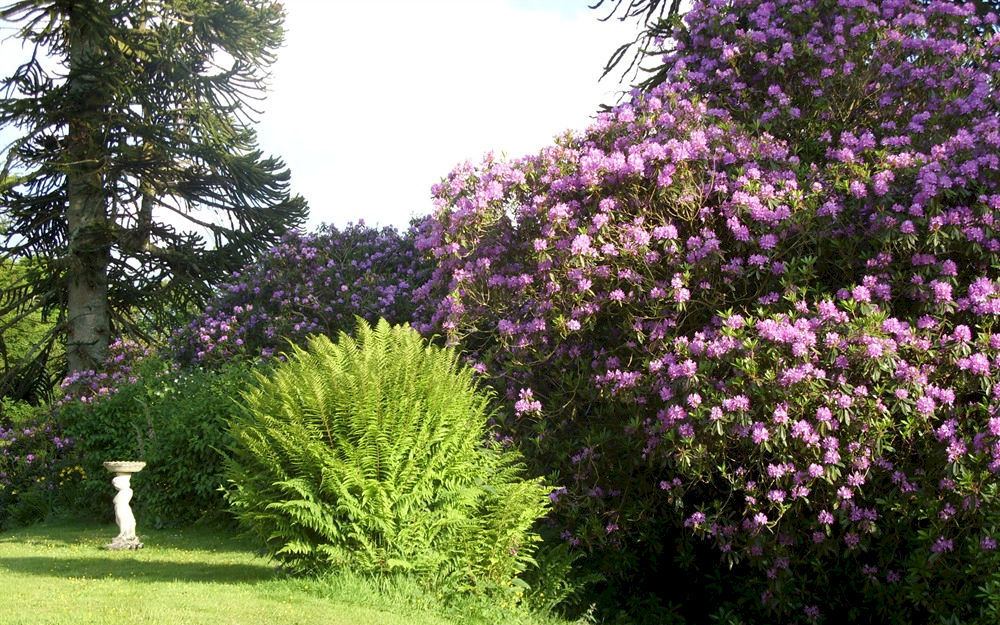 Bed and Breakfast Moorlands Parracombe Exterior foto